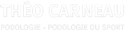 Théo carneau podologie -logo
